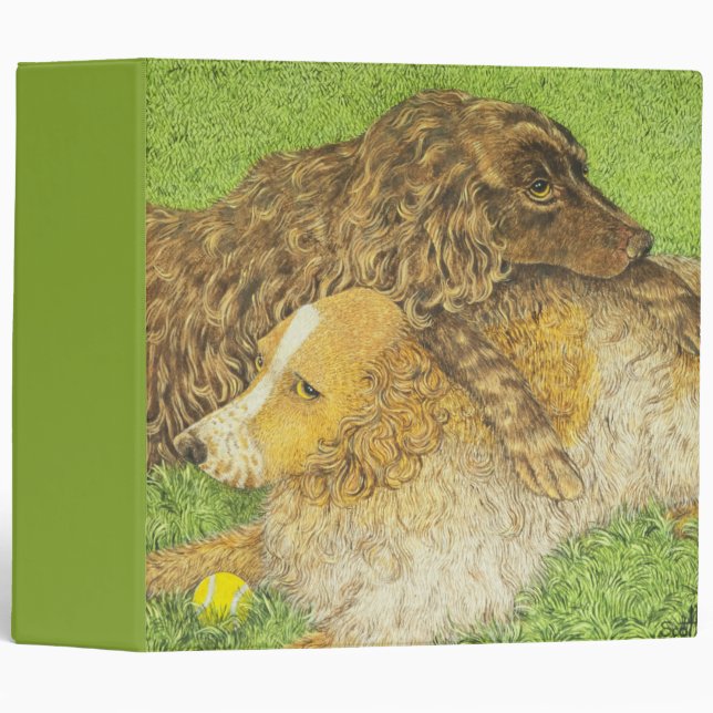 Classeur Possession (Devant/Côté)