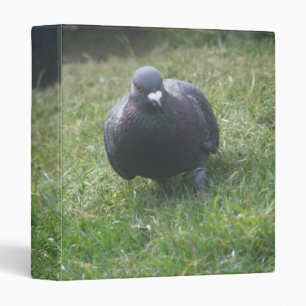 Classeur Poster Album photo Pigeon