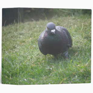 Classeur Poster Album photo Pigeon