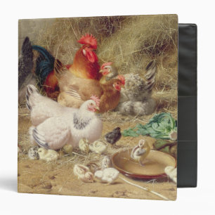 Classeur Poules roosting avec leurs poulets