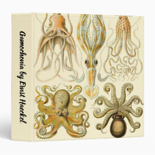 Classeur Poulpe Vintage Calmar Gamochonia par Ernst Haeckel