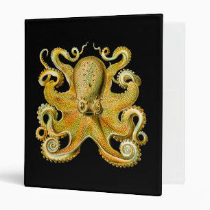 Classeur Poulpe vintage d'Ernst Haeckel en jaune
