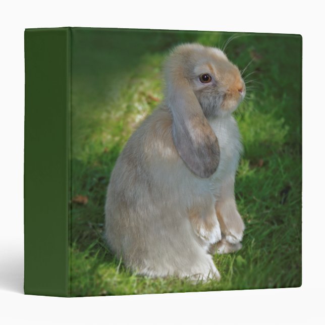Classeur pour bébé lapin Minilop (Devant/Côté)