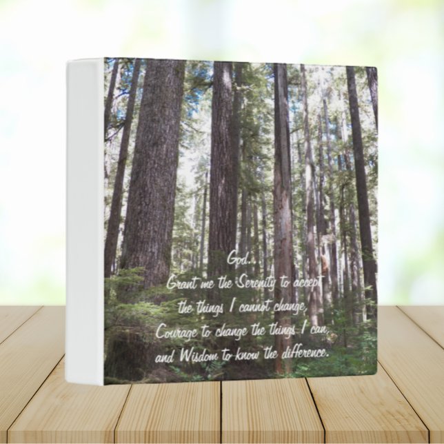 Classeur Prière de sérénité inspirée Forêt ensoleillée (In Situ Upright)