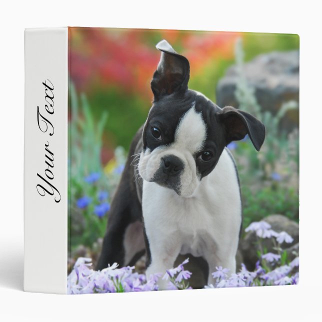 Classeur principal animal de photo de chiot mignon de chien (Devant/Côté)