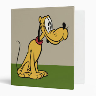 Classeur Principaux raccourcis Mickey Prise