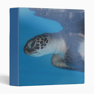 Classeur Produit de personnaliser