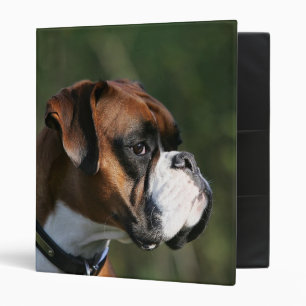 Classeur Profil de côté de chien de boxeur