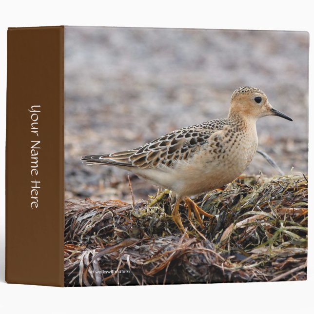 Classeur Profil d'un bécasseau à poils cassés à la plage (Devant/Côté)