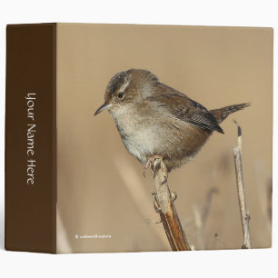 Classeur Profil d'un magnifique Marsh Wren