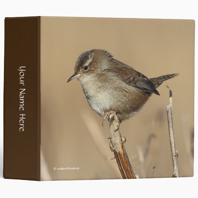 Classeur Profil d'un magnifique Marsh Wren (Devant/Côté)