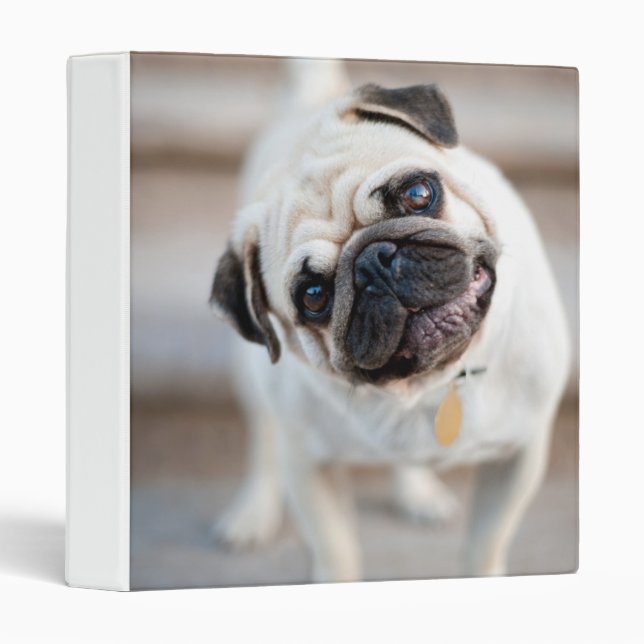 Classeur Pug Head Tilt (Devant/Côté)