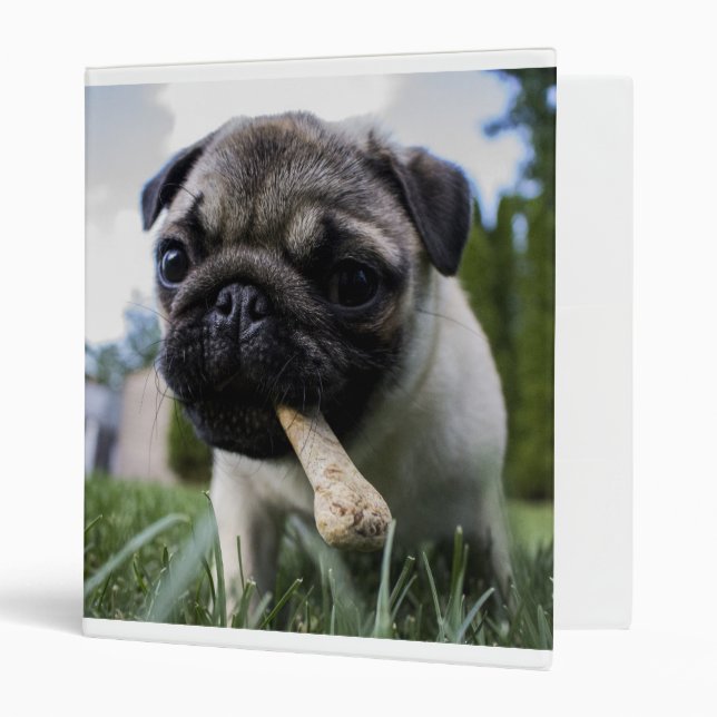 Classeur Pug puppy (Devant/intérieur)