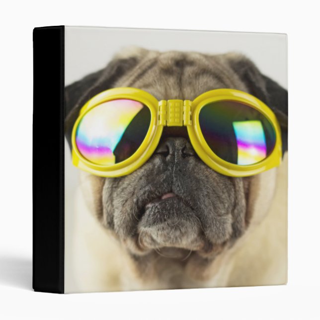 Classeur Pug with Goggles (Devant/Côté)