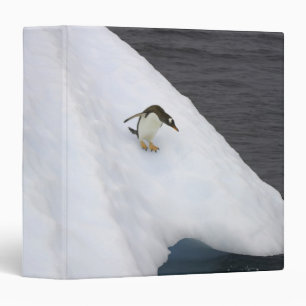 Classeur Pygoscelis Papouasie de pingouin de Gentoo) se
