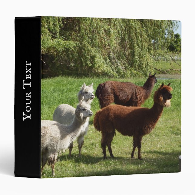 Classeur Quatre Alpacas (Devant/Côté)