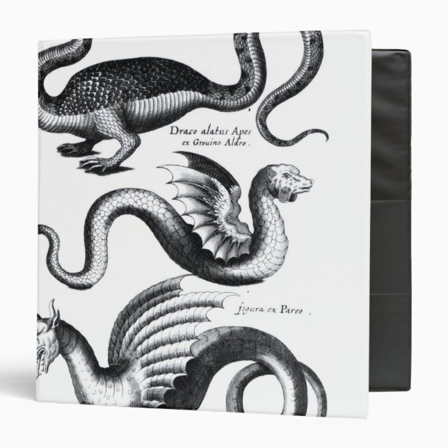 Classeur Quatre types de dragon (Devant/Intérieur)