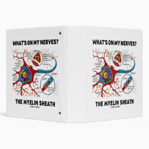 Classeur Qu'y a-t-il sur mes nerfs ? Le Myelin Sheath