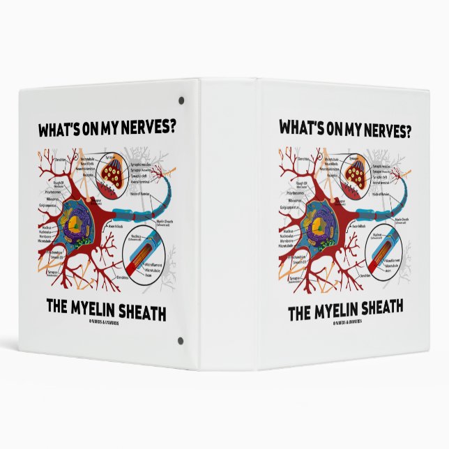Classeur Qu'y a-t-il sur mes nerfs ? Le Myelin Sheath (Arrière-plan)