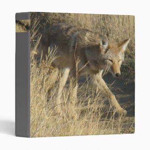 Classeur R14 Coyote qui marche