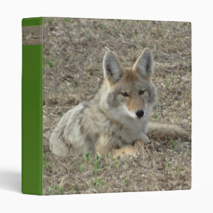 Classeur R22 Coyote Couché