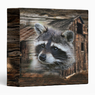 Classeur Raccoon À L'Ancienne Grange