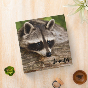 Classeur Raccoon mignon reposant sur un journal