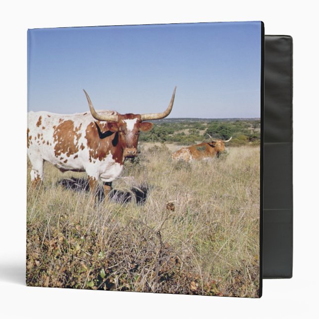 Classeur Race du Texas Longhorn (photo) (Devant/Intérieur)