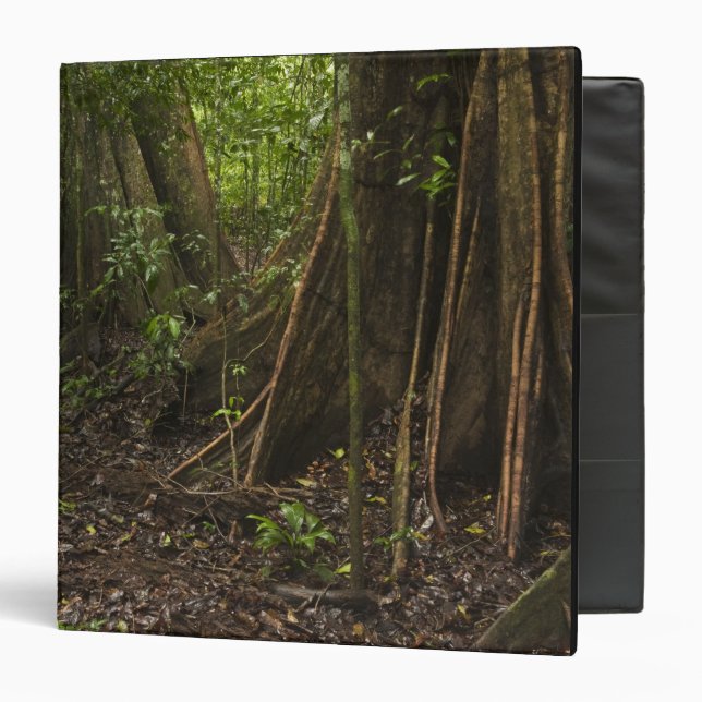 Classeur Racines de la maîtresse. Rainforest, Mapari Rupunu (Devant/Intérieur)