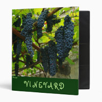 Raisins de cuve
