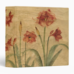 Classeur Rangée d'amaryllis rouge