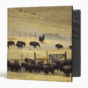 Classeur Rassemblement du National Bison Range dans le Mont