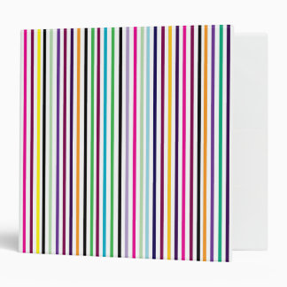 Classeur rayé multicolore
