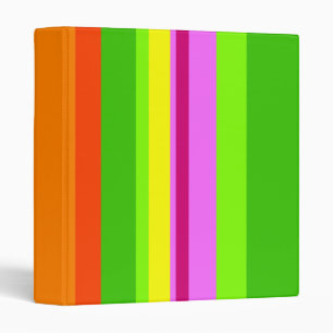 Classeur Rayures colorées