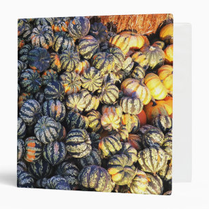 Classeur Rayures Et Citrouilles