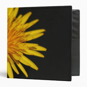 Classeur Rbcn de Dandelion Flower