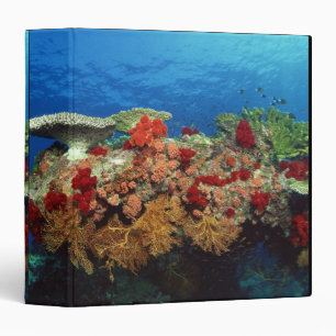 Classeur Récif pittoresque de coraux durs, coraux mous