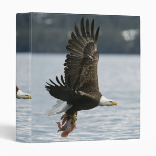 Classeur Récupération du poisson d'aigle à tête blanche