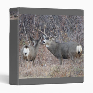 Classeur Relieur de cerf mulet D29