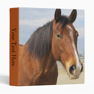 Classeur Reliure à anneaux 3--Côté Brown de cheval