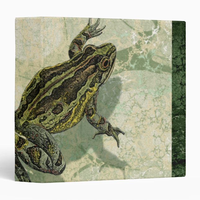 Classeur Remonter le crapaud dans l'eau (Devant/Côté)