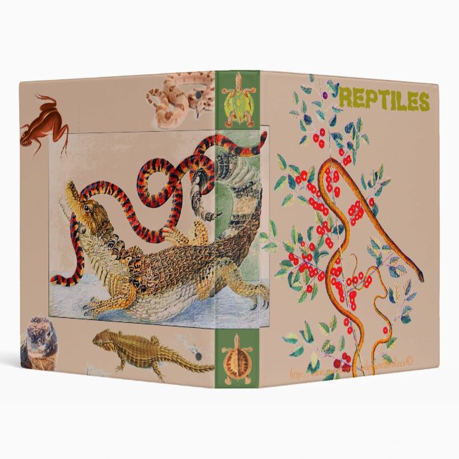 CLASSEUR "REPTILES" (Arrière-plan)