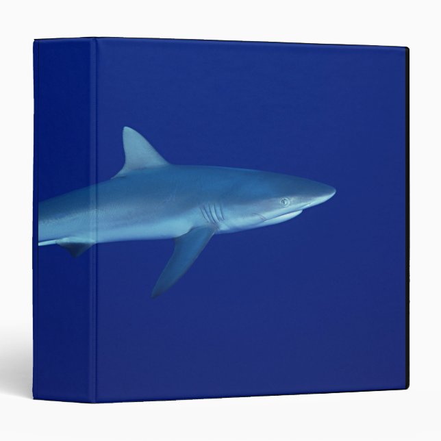 Classeur Requin (Devant/Côté)