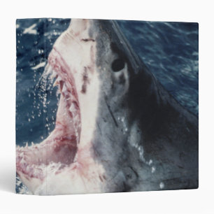 Classeur Requin élevé bouche ouverte
