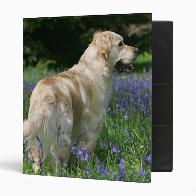 Classeur Retreiver d'or en fleurs (Devant/intérieur)