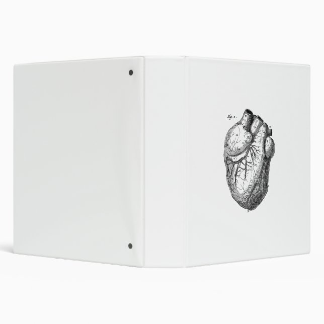 Classeur Rétros coeurs cardiaques d'anatomie de coeur (Arrière-plan)