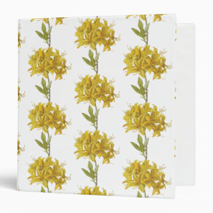 Classeur Rhododendron luteum (Azalée Pontique)