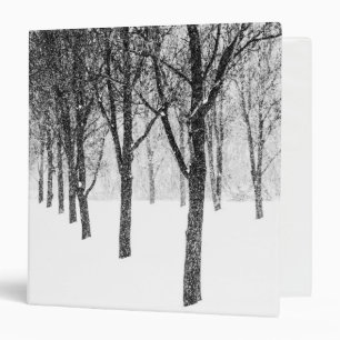 Classeur ris I side with trees