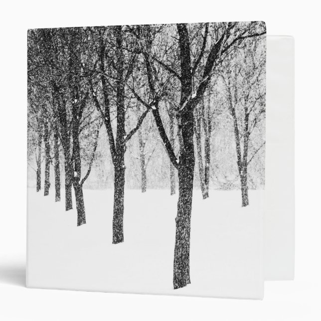 Classeur ris I side with trees (Devant/Intérieur)