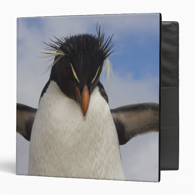 Classeur Rockhopper Penguin Eudyptes chrysocome (Devant/Intérieur)